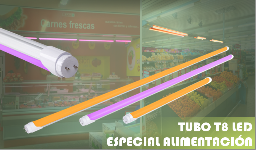 PORTADA T8 ALIMENTACION 2